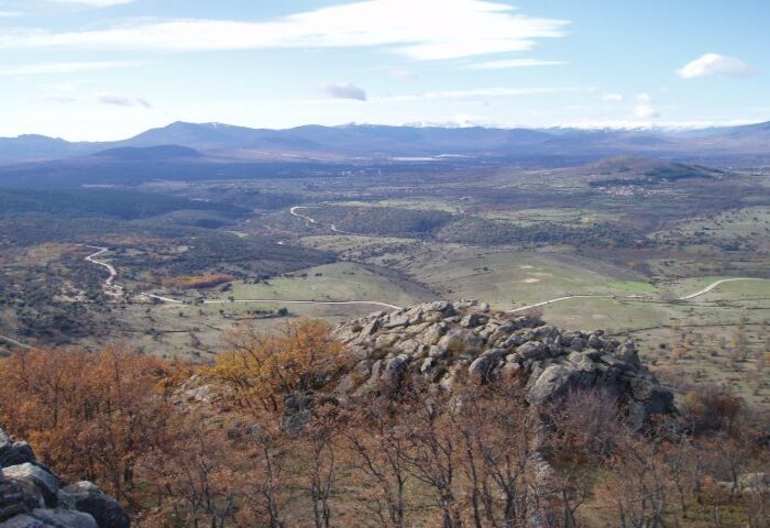 alto en otono