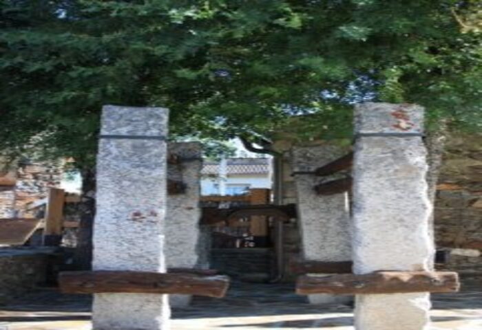 pilares con arboles