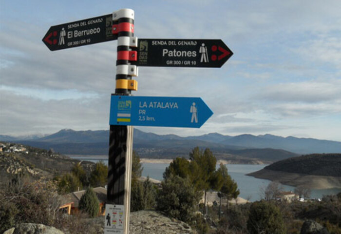 carteles