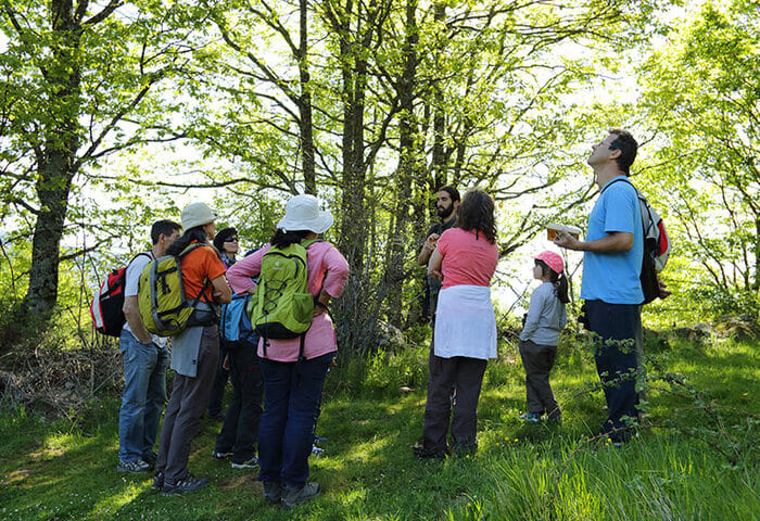 Grupo de personas en bosque