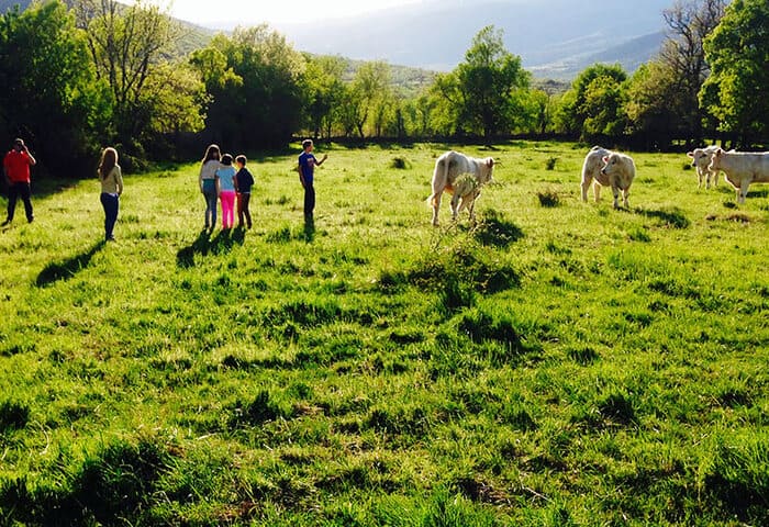 Personas y vacas