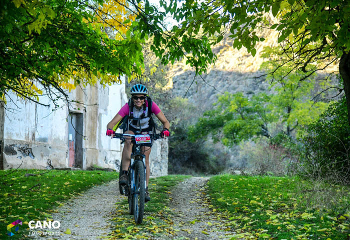 Bicicleta en camino verde