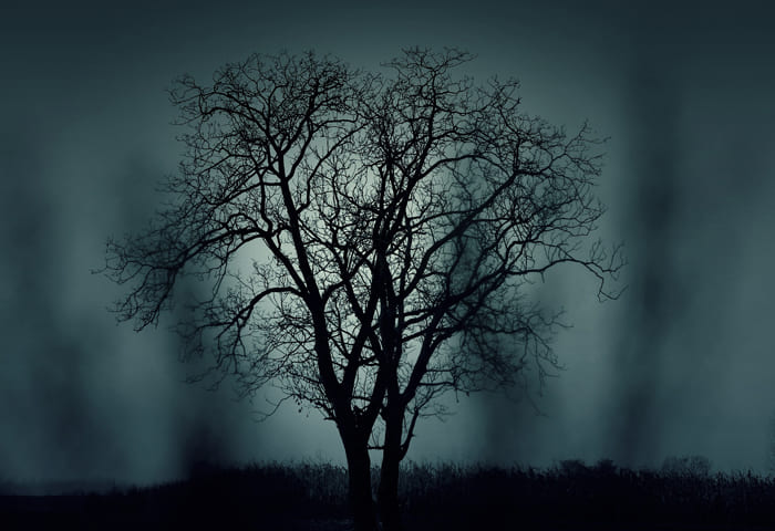 Árbol tenebroso