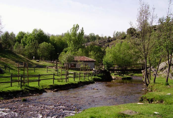 Rio y molino