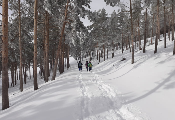 Personas en nieve