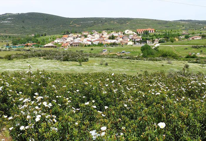 municipio robledillo de la jara