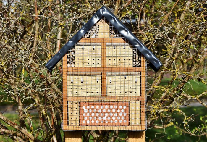 Casa para las abejas
