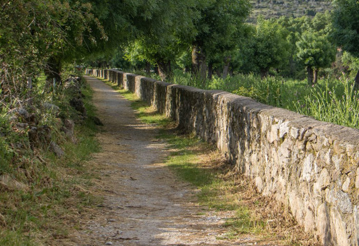 callejas-navalafuente1