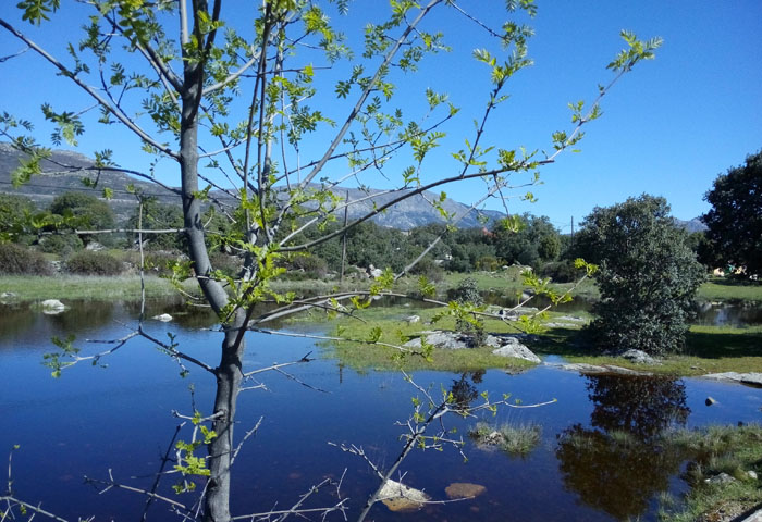 parque-las-lagunas-navalafuente
