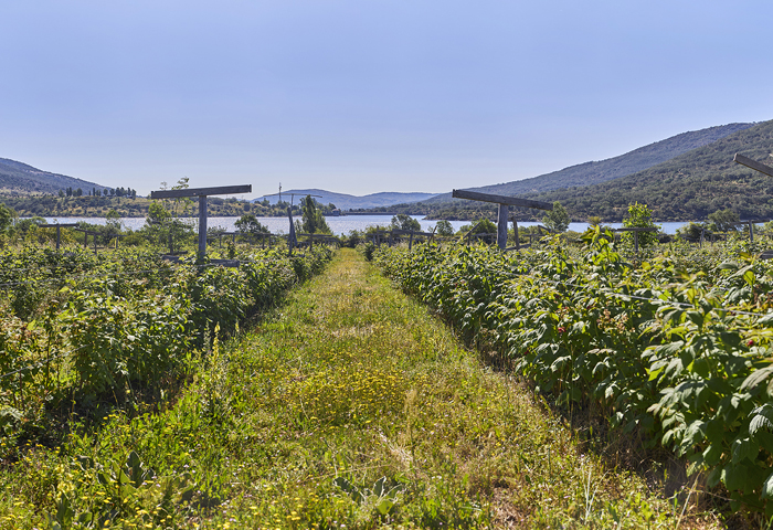 Ruta-Portachuelo-Navarredonda