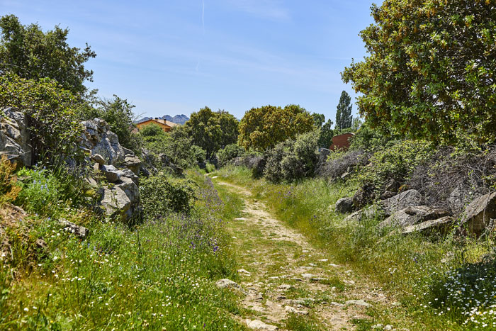Paisaje Caminos Navas Buitrago