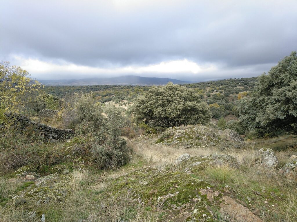senda-molino-de-paredes-2-2048x1532