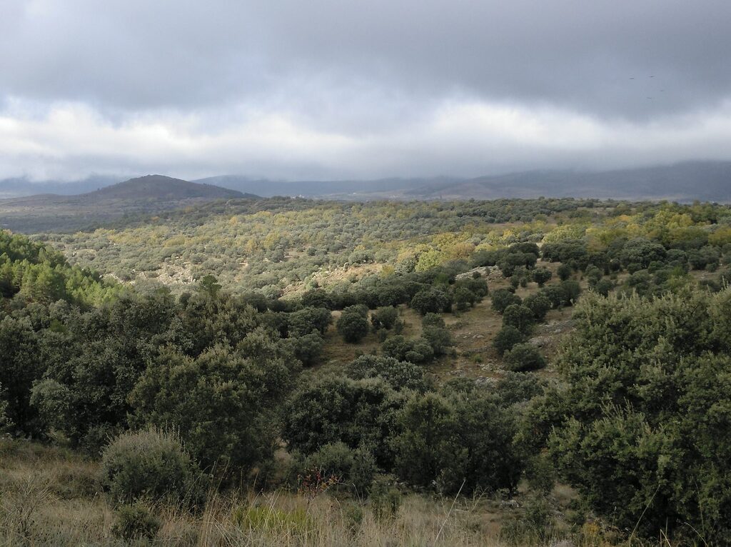 senda-molino-de-paredes-3-2048x1532