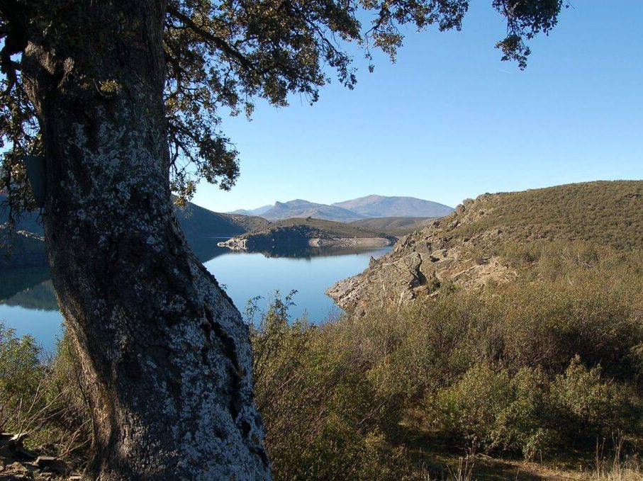 senda-pisanchon.-el-atazar-8-2048x1358 - copia