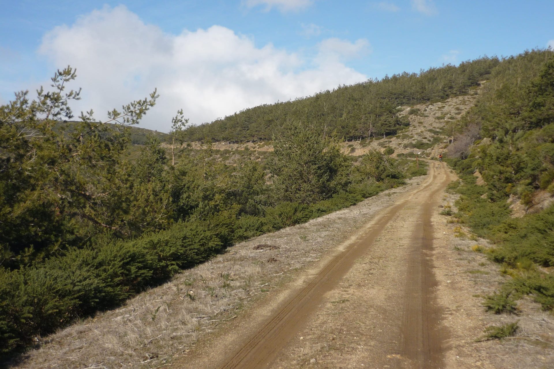 Fuentes del Jarama