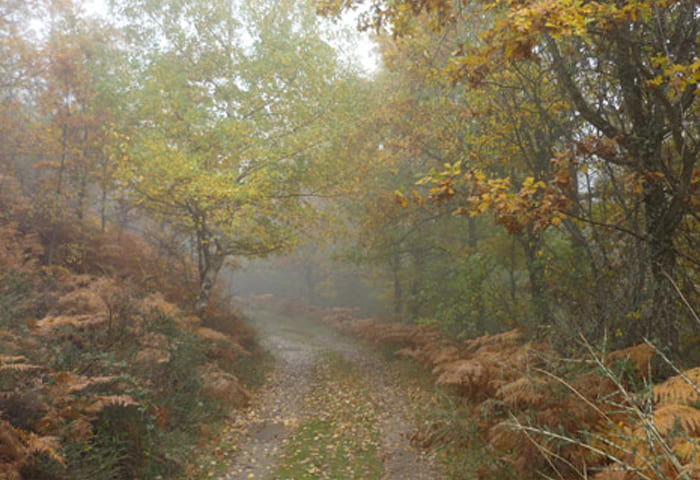 LA-DEHESA-BONITA-DE-SOMOSIERRA-WEB