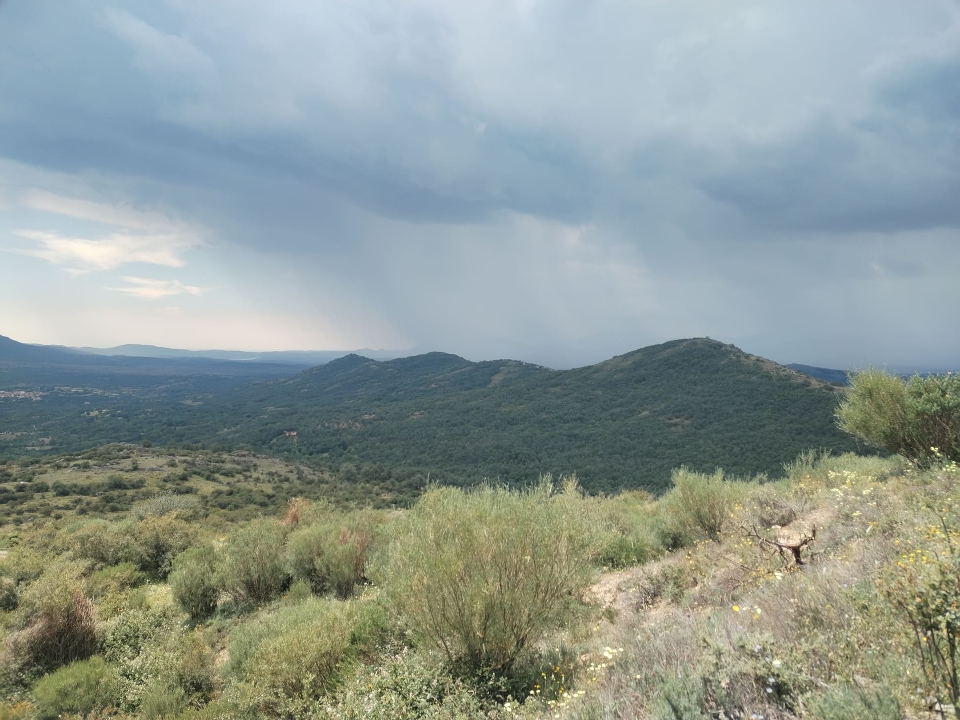 Paisaje un día nublado