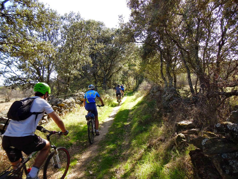 Paseo en la ruta GR300