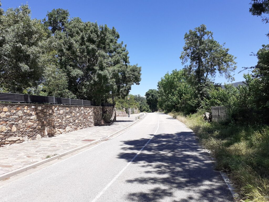 Carretera de montaña en Prádena del Rincón bordeada por muros de piedra y vegetación exuberante bajo un cielo despejado.