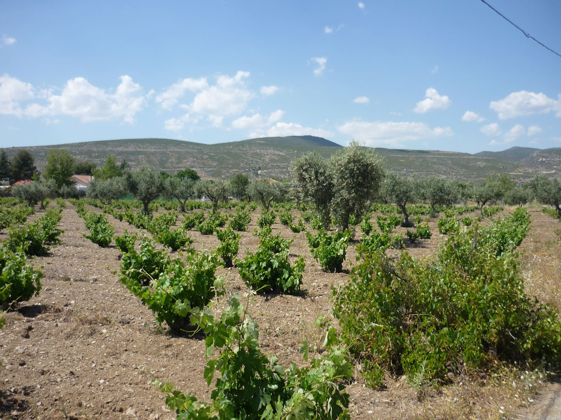 Pueblos de la Vega del Jarama