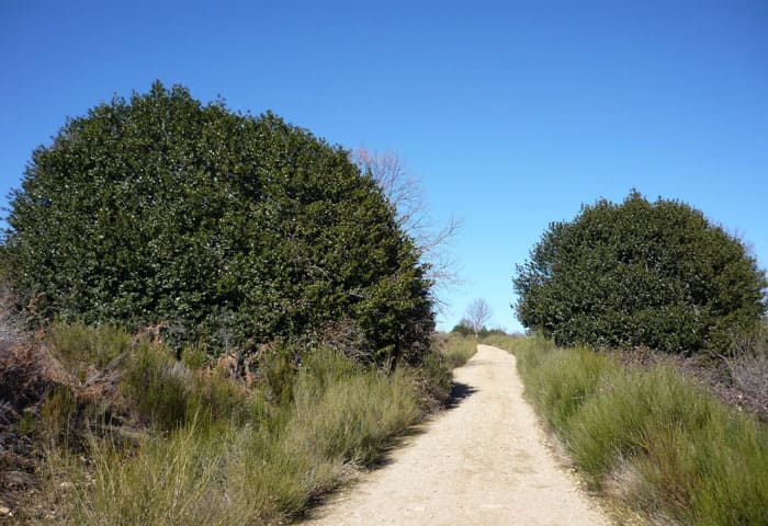 acebeda-robregordo5