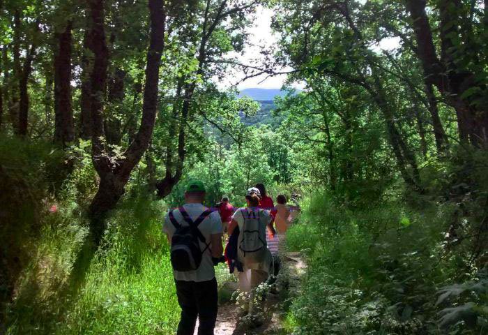 bano-bosque-sabor-1