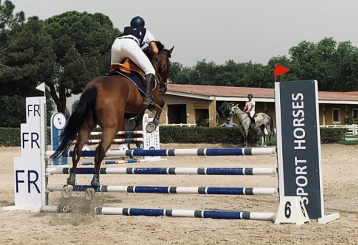 imagen de un caballo saltando una valla en el centro ecuestre albero