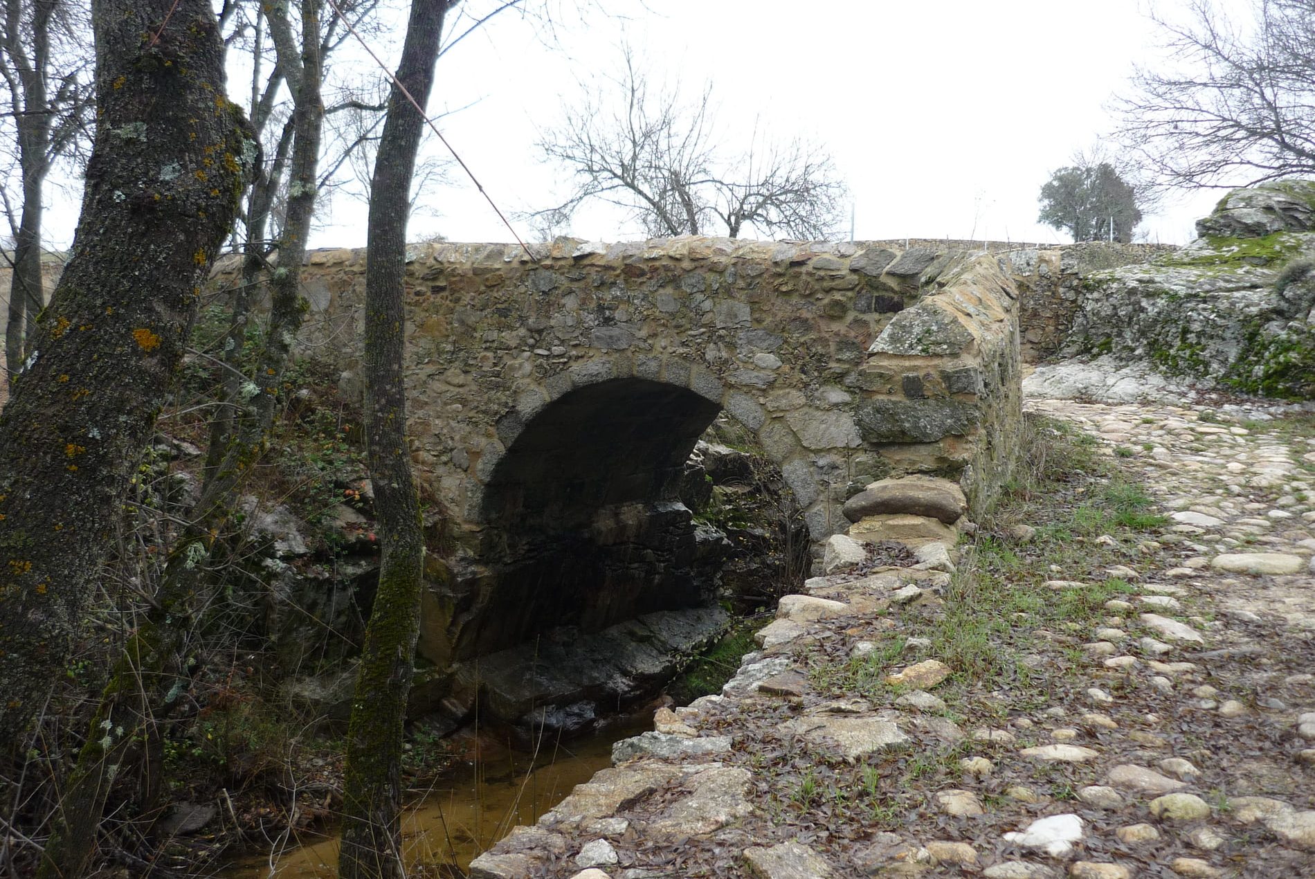 Puente con rio