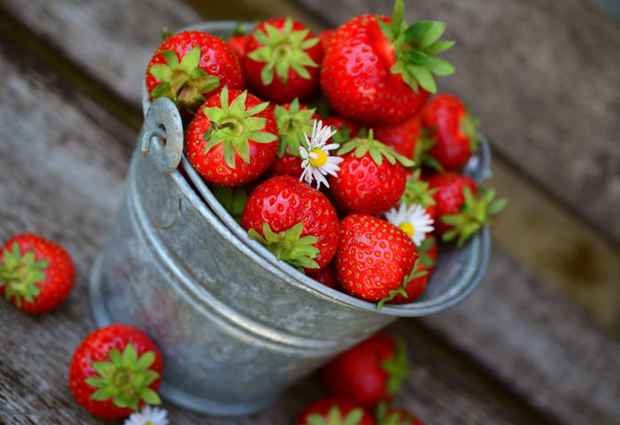 Fresas en un cubo