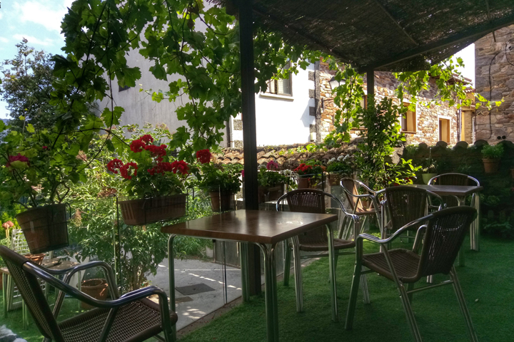Terraza verde
