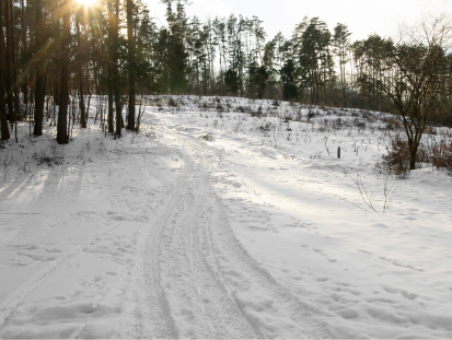 Rutas invierno