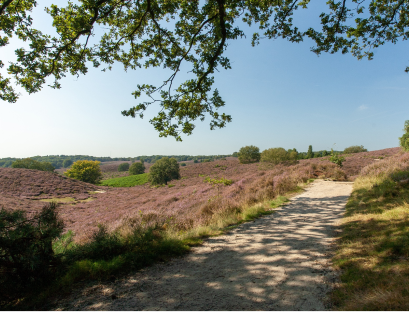 Rutas primavera