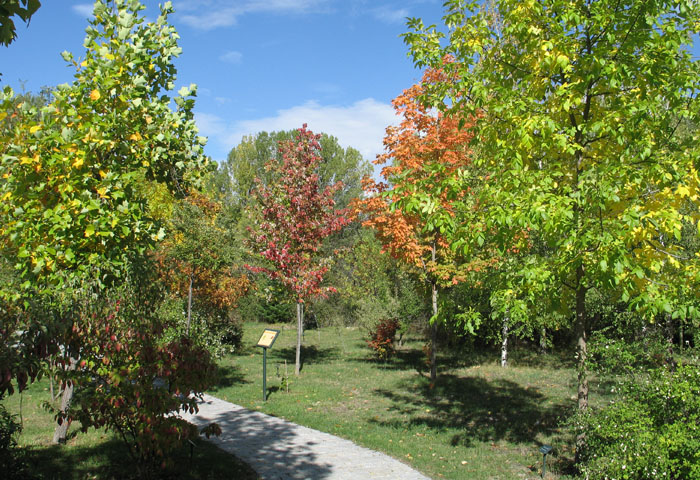 arboreto1-modelo-web