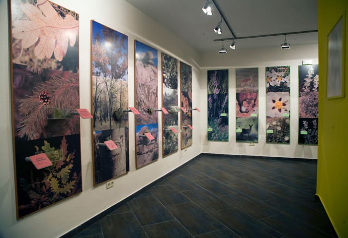 planes-2022-106-mancomunidad-del-atazar-museos-con-encanto (1)