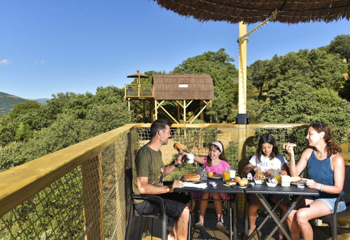 planes-monteholiday-cabana-en-los-arboles