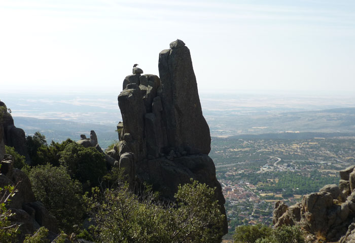 sierra-de-la-cabrera7