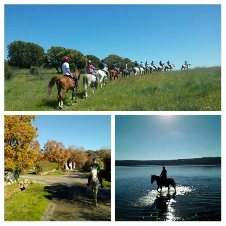 demei-centro-ecuestre