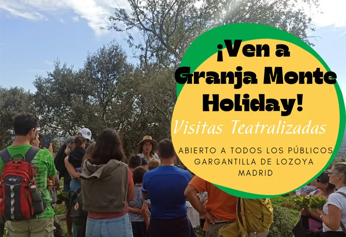 monte-holiday-granja