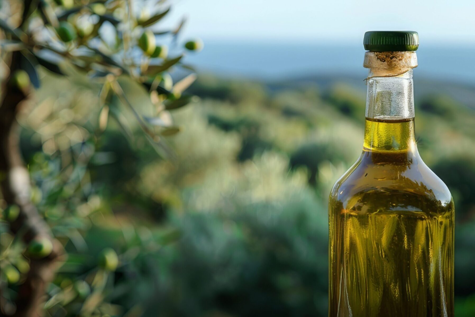 aceite de oliva scaled e1729515430109