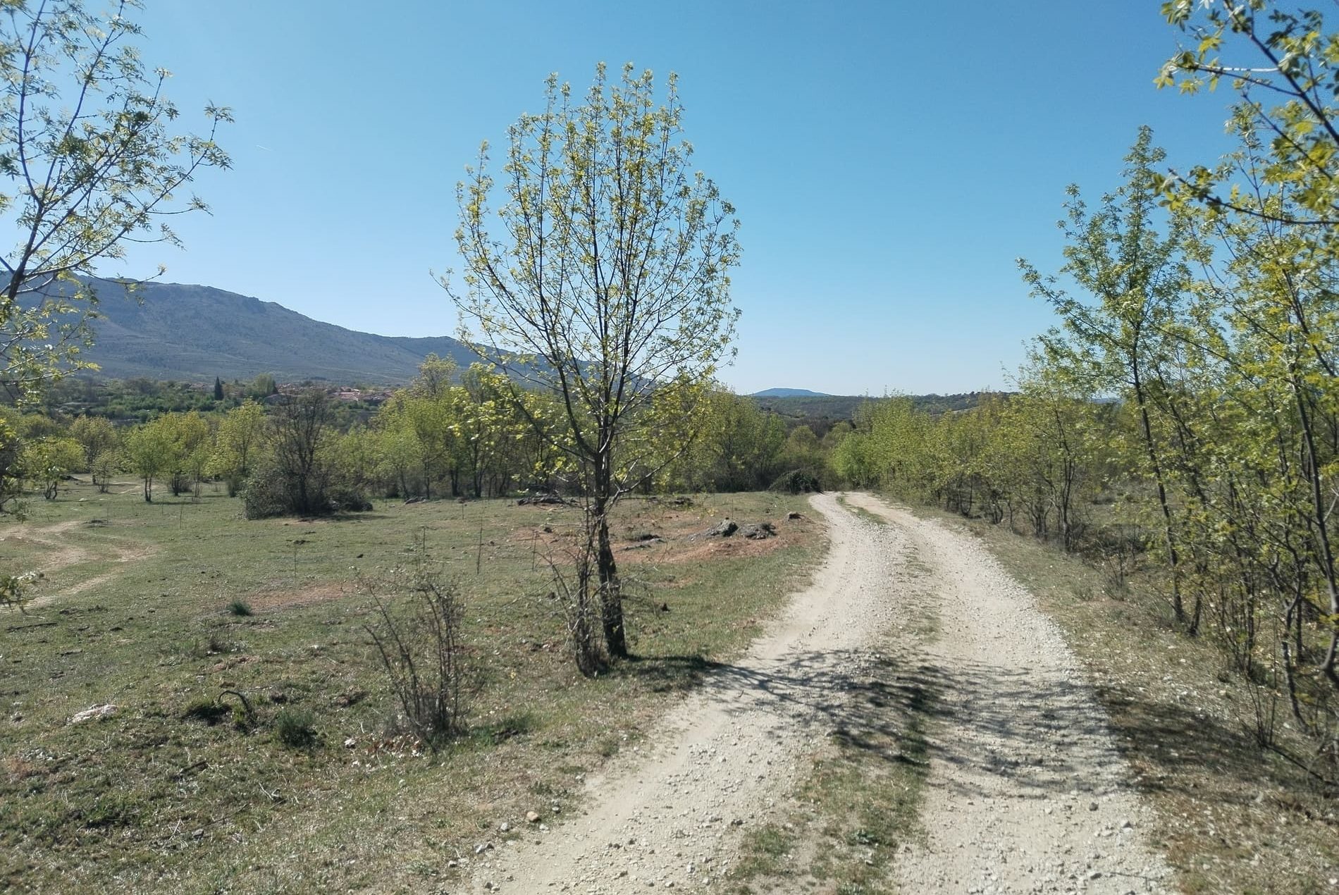 camino de tierra despejado
