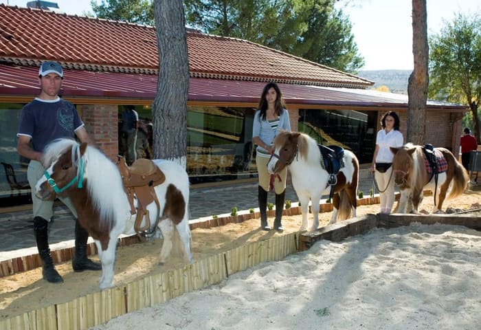 empresas-finca-equilibrium