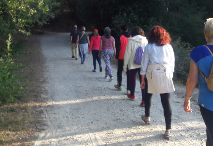 empresas-la-acebeda-creaaccion