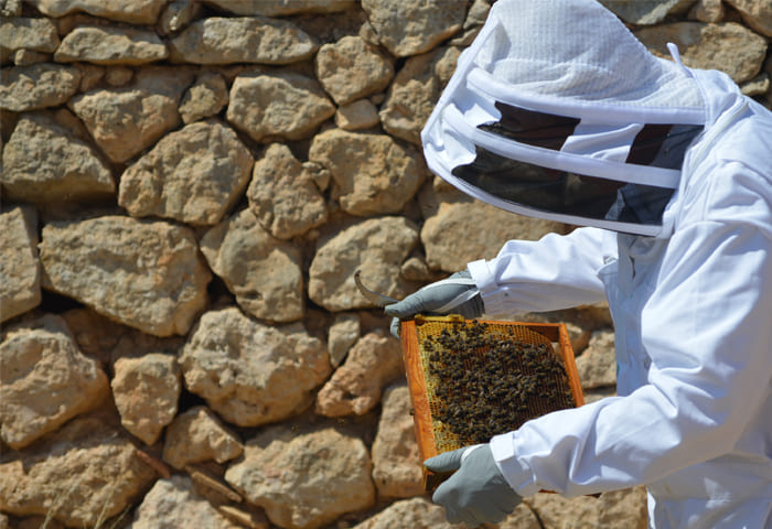 empresas-miel-el-bardal-actividad