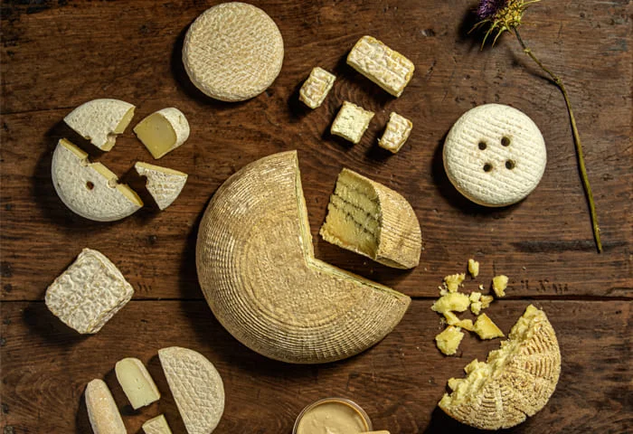 empresas-queseria-jaramera