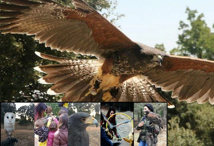 empresas-signatur-talleres-en-familia