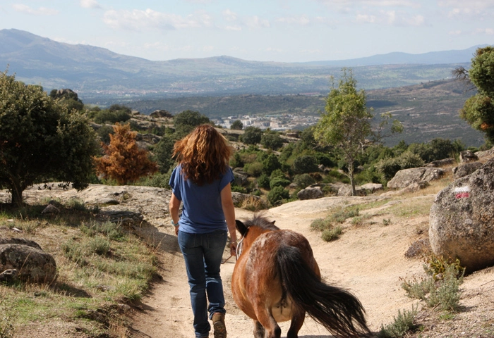 empresas-valdemanco-pony-club-robin-creek-walk-with-me-experiences