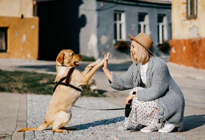 recurso turistico mascota