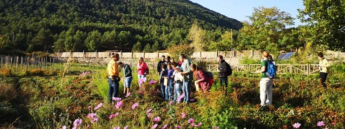 Experiencias primavera Sierra Norte