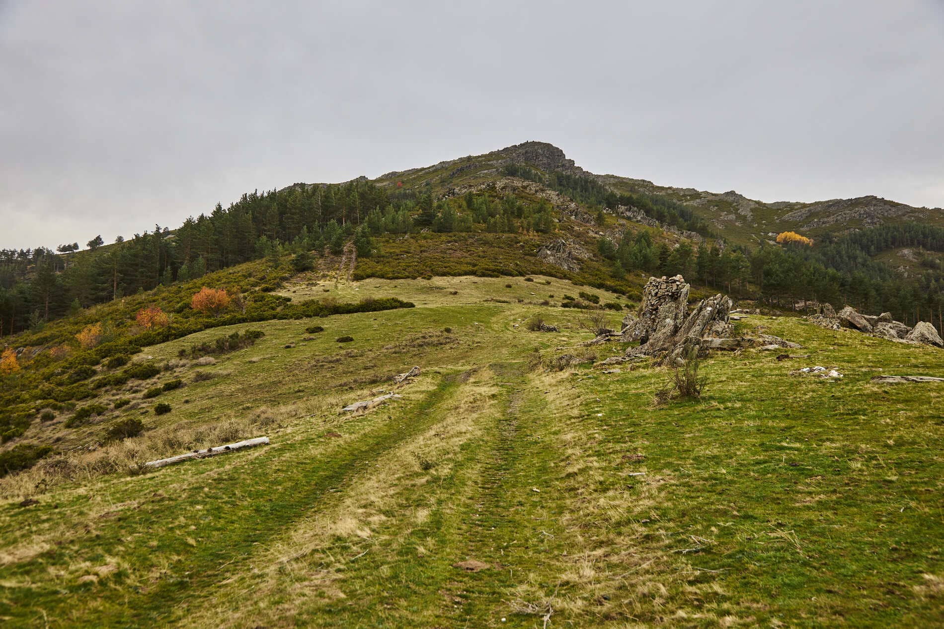 Camino verde de Cerro de Salinero