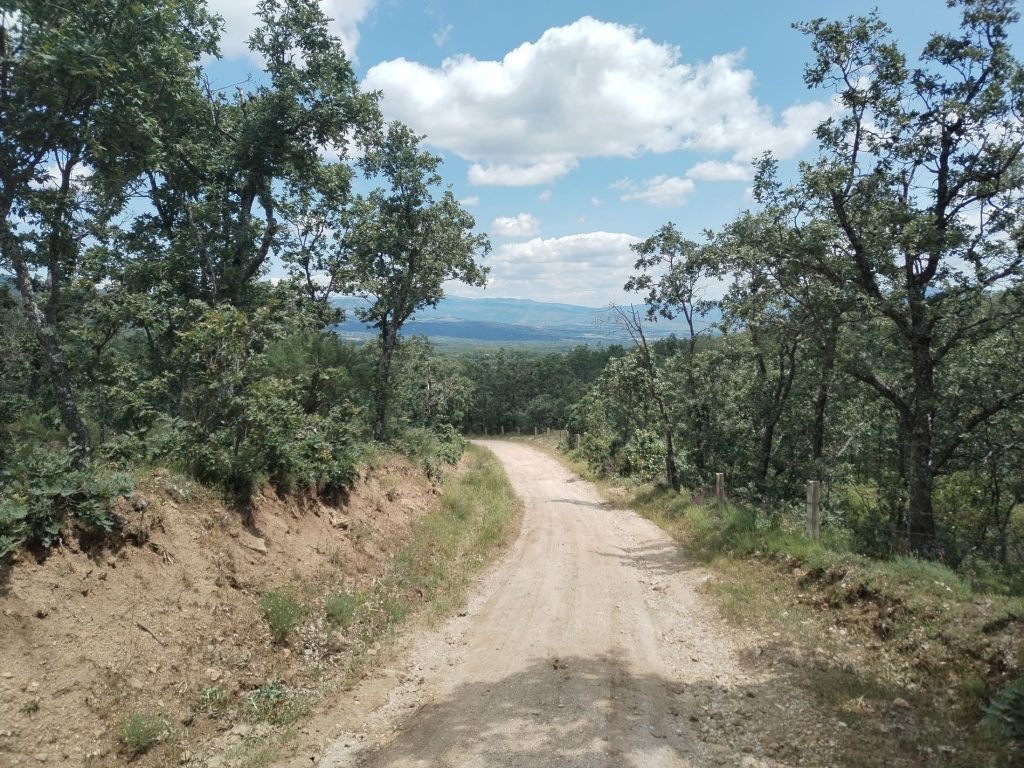 Camino ruta de tierra